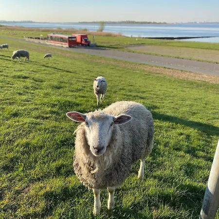 호텔 Faehrhaus Kollmar